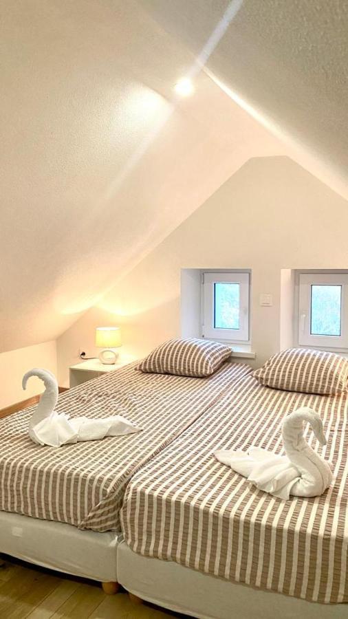 Colmar Cote Rhin Apartment Biesheim Ngoại thất bức ảnh